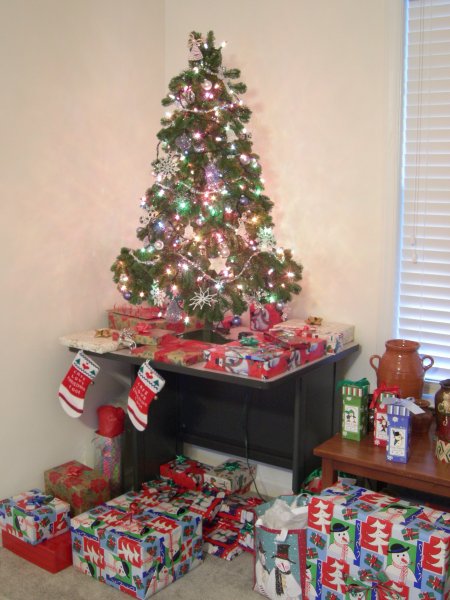 our Christmas tree