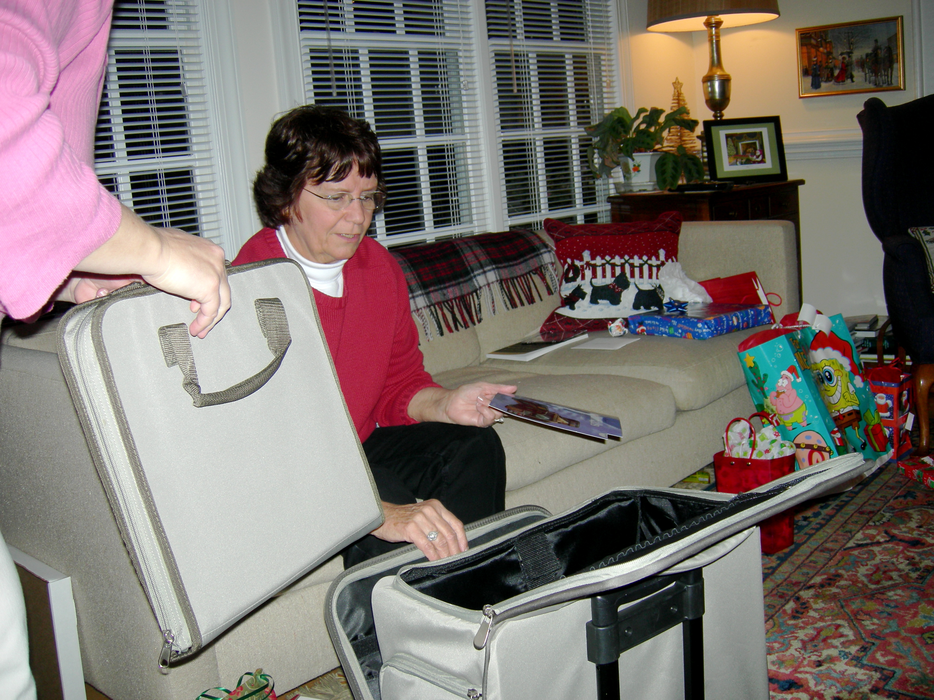 Sally got a crafting organizer