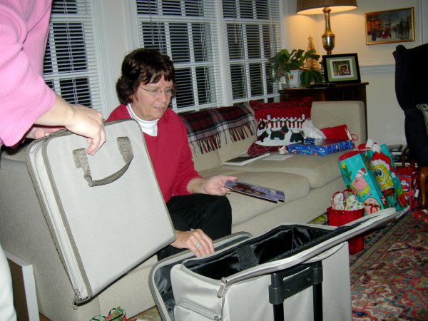 Sally got a crafting organizer