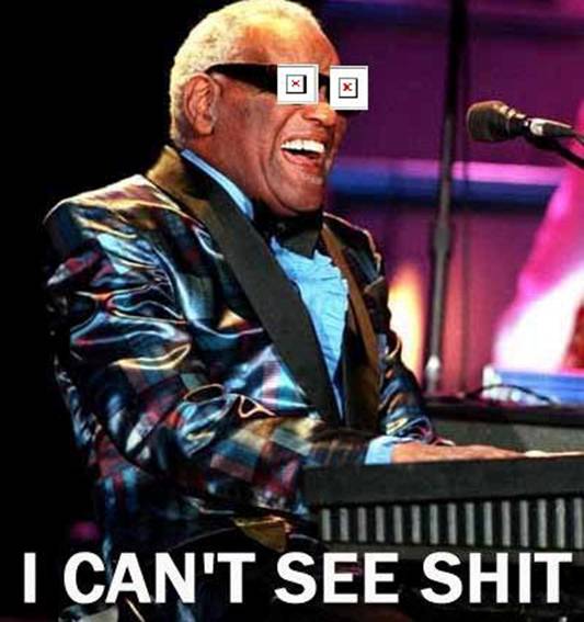 http://gallery.racoonfink.com/d/11320-4/ray-charles-i-cant-see-shit