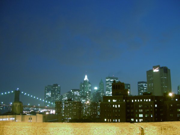 Manhattan at night (2)