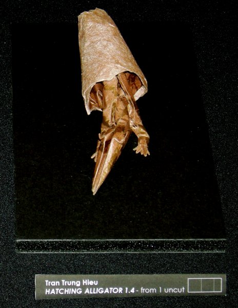 Hatching Alligator 1.4