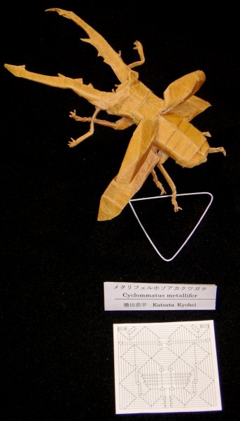 Cyclommatus Metallifer