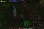 strange bug -- textureless night elf