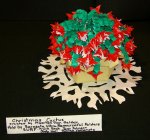 Christmas Cactus