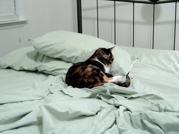 Does she really need *2* pillows?