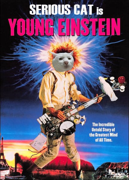 Yahoo Serious Cat