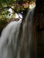 you can see the roots growing down behind the waterfall