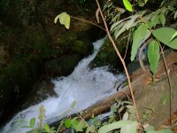 small rapids coming down from the waterfall