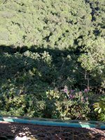 looking straight down from the platform suspended over the edge
