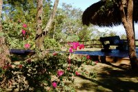 more pretty flowers at the Bistro da Mata