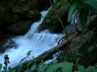 water spraying out, the small rapids