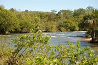 a calmer part of the river