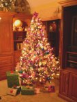 017. The Tree (No Flash)