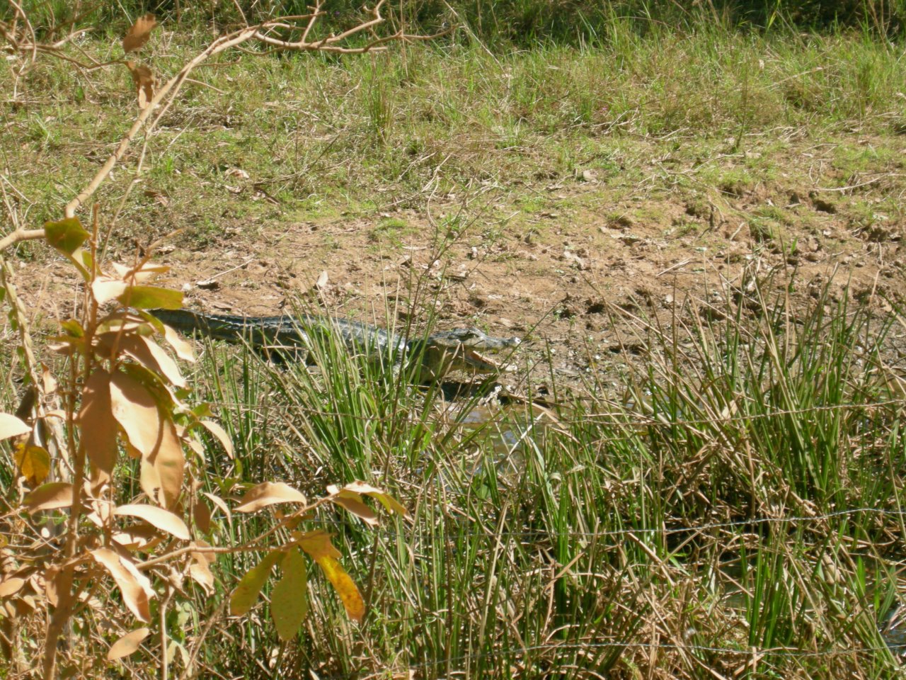another, slightly closer, Cayman