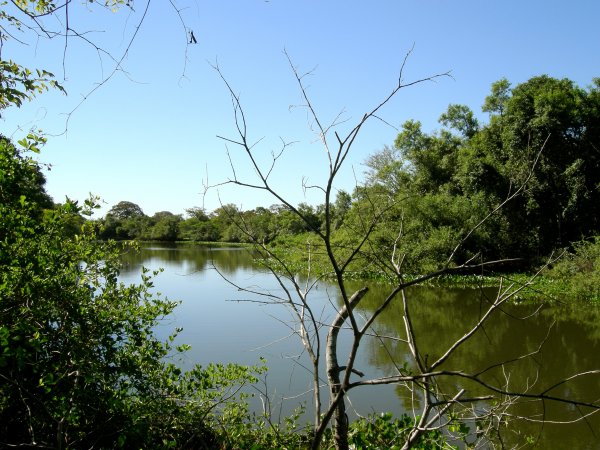 the Pixaim River