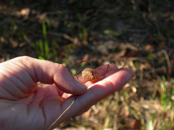 we found this interesting little pod on the side of the trail