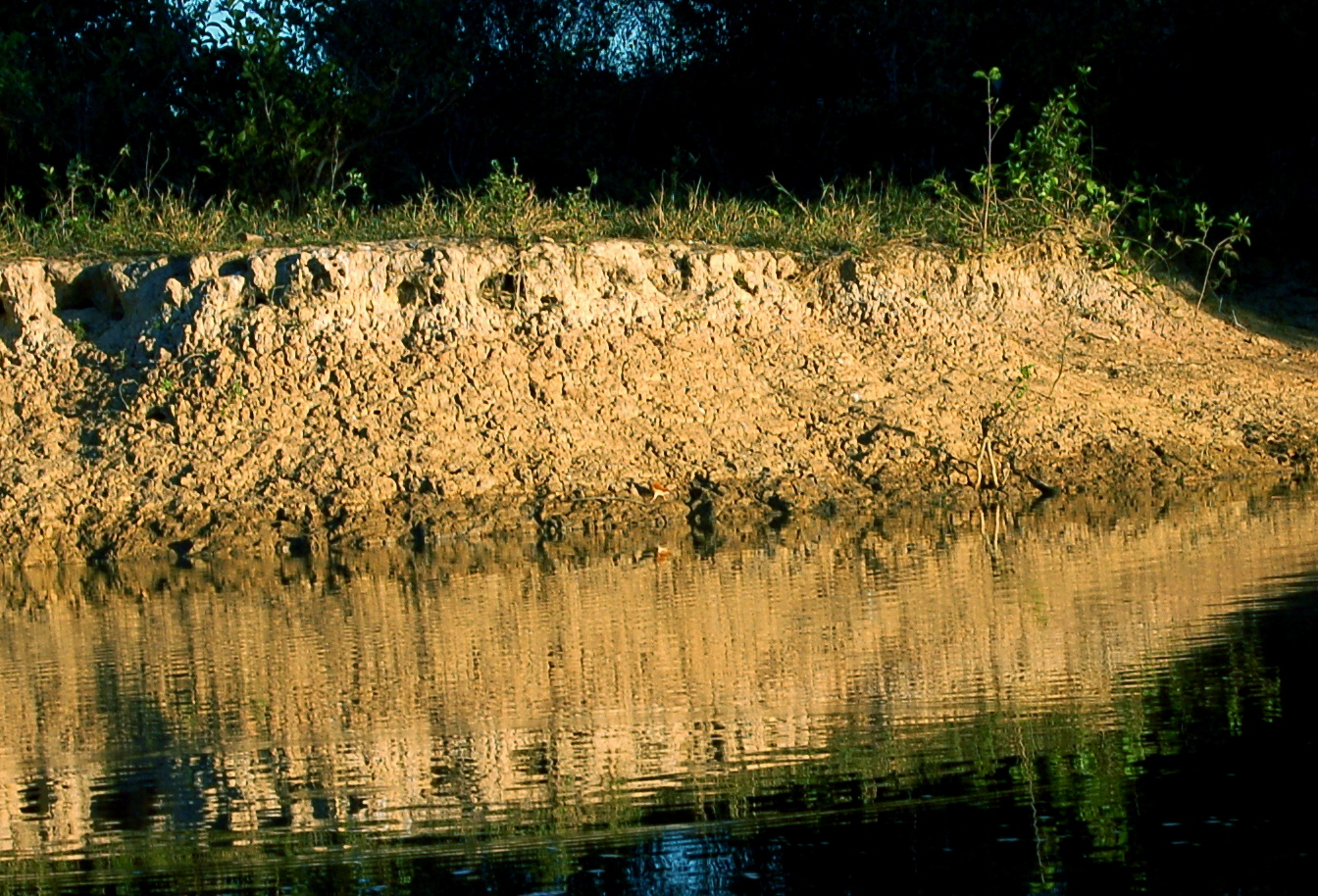 wood rail by the edge of the water