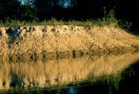 wood rail by the edge of the water