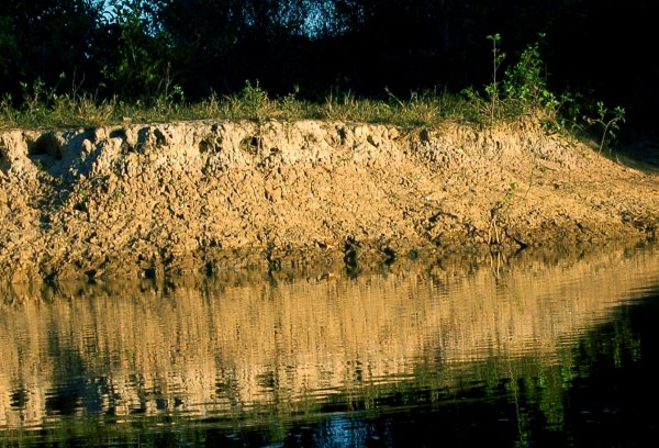 wood rail by the edge of the water