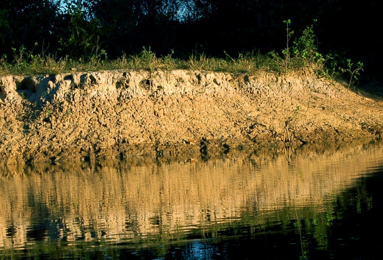 wood rail by the edge of the water