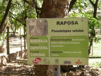 Raposa (Pseudalopex, vetulus) sign