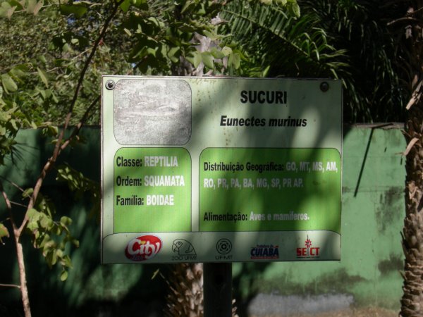 Sucuri (Eunectes murinus) sign