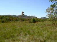 more of the settlement area
