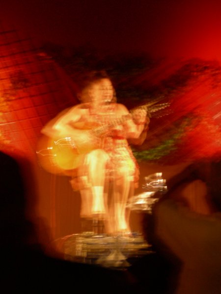Tetê Espíndola, a famous Mato Grosso performer at the dinner