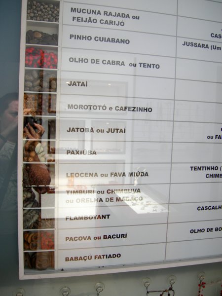 catalog/samples of the seeds used in jewelry-making (3)