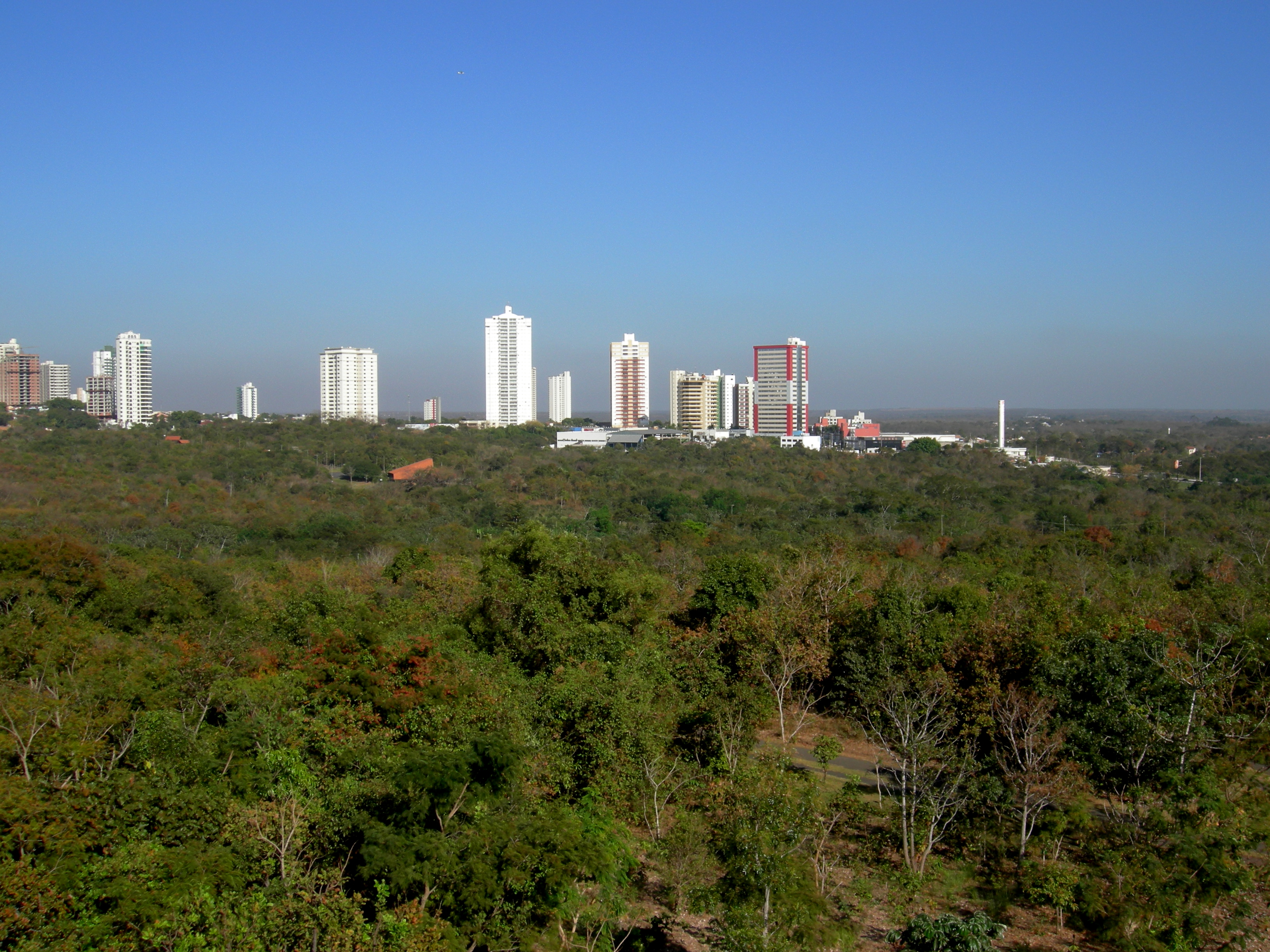observation deck view