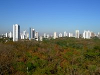observation deck view (3)