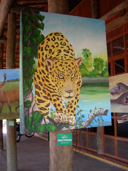 Panther (Onça Pintada)