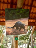 Giant Otter (Ariranha)