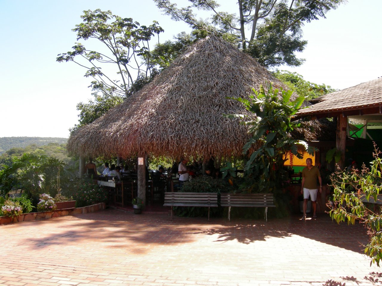 the restaurant was in a palm-thatched hut