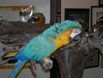 DSCN4356.JPG