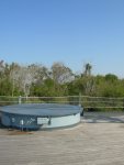 DSCN0006.JPG