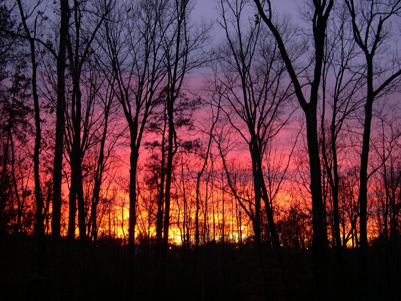 DSCN4958.JPG
