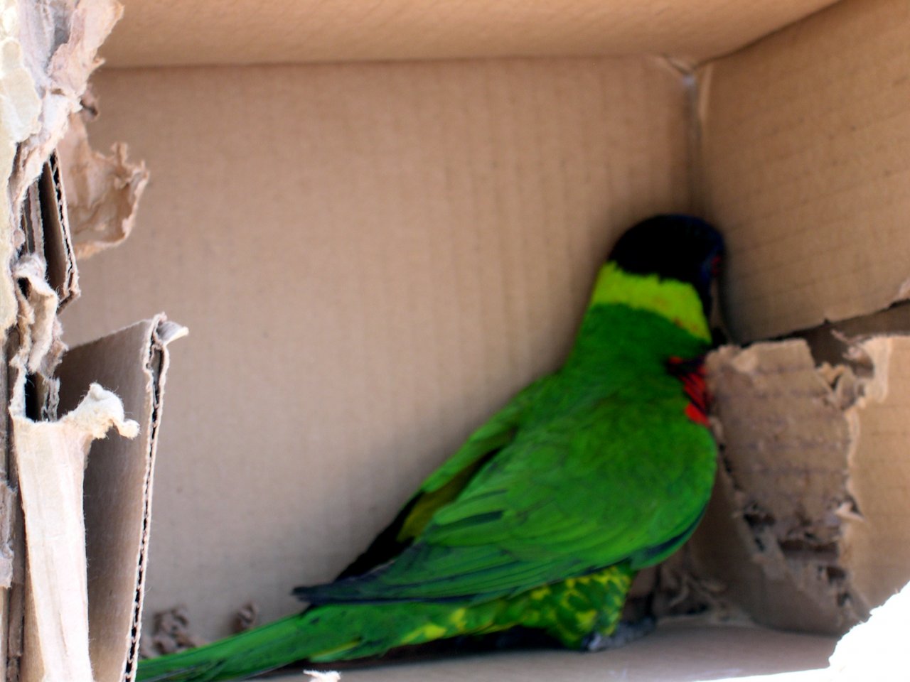 DSCN0601.JPG