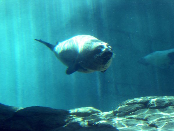 DSCN0541.JPG