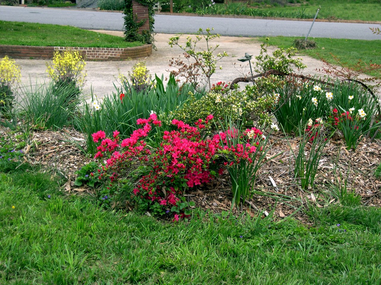 The garden