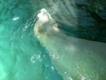 DSCN0551.JPG
