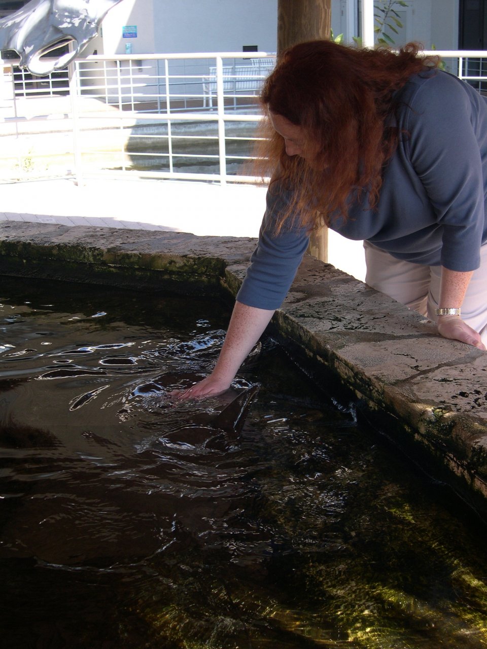 cynthia petting the rays
