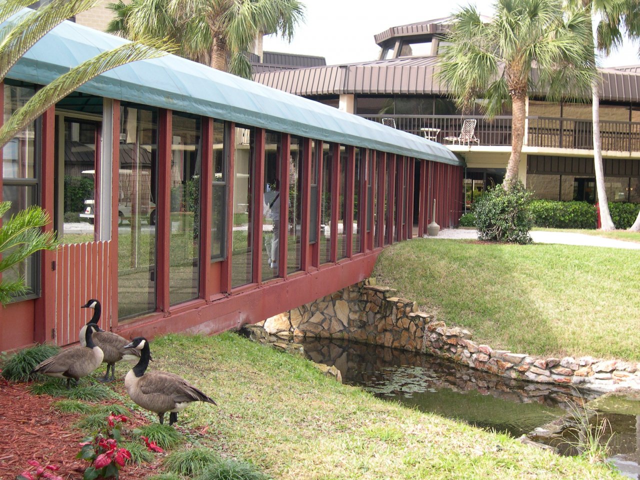 bridge attached to grandma and grandpa's building