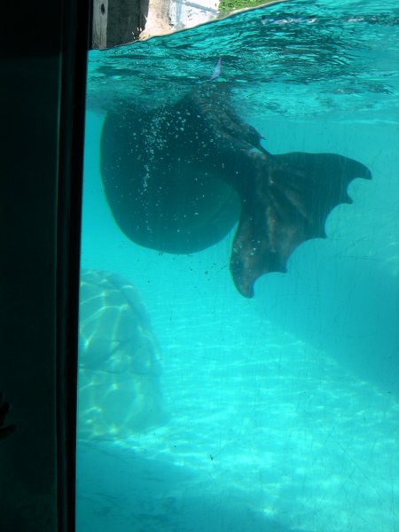 DSCN0554.JPG