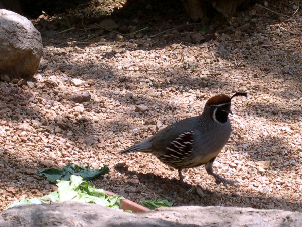 DSCN0582.JPG