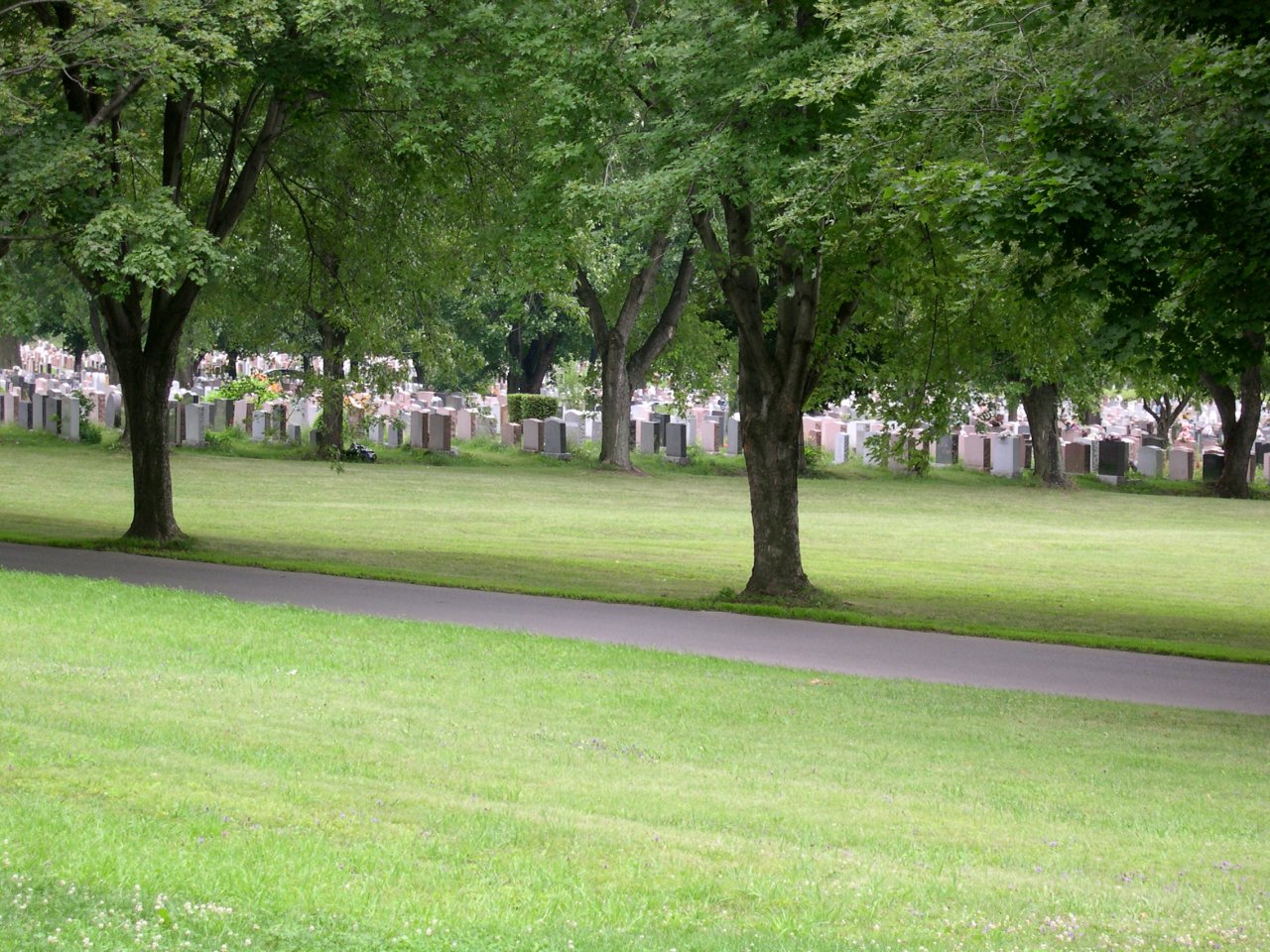Cemetary - So many tombstones packed together.