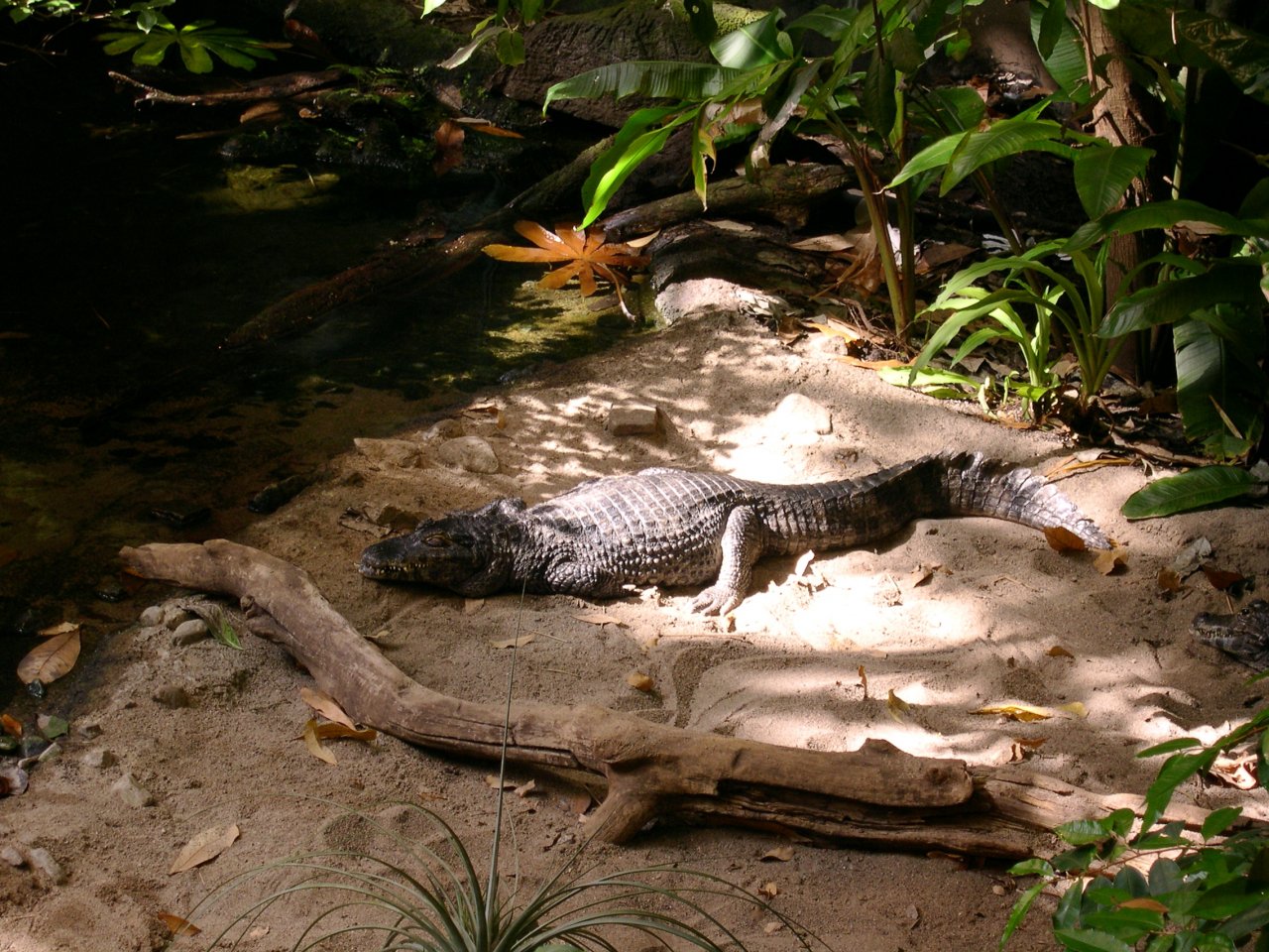 DSCN1178.JPG
