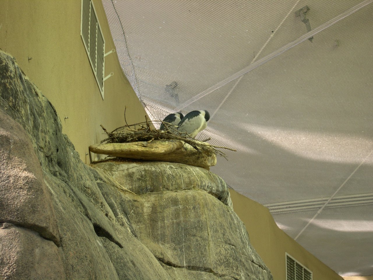 DSCN1207.JPG