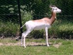 DSCN0593.JPG